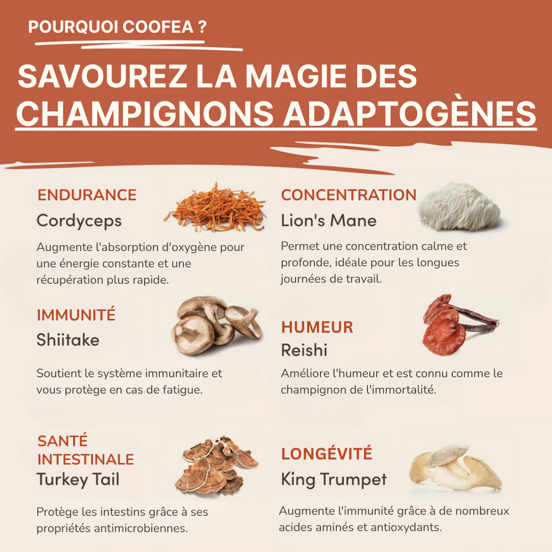 🍄 Café aux Champignons | Digestion + Énergie Naturelle