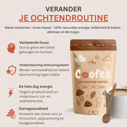 Café aux Champignons | Meilleure Vente